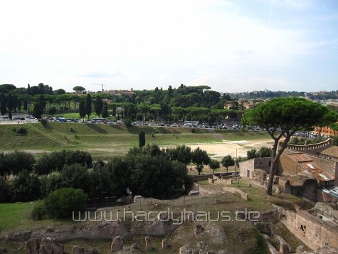 Circus Maximus 