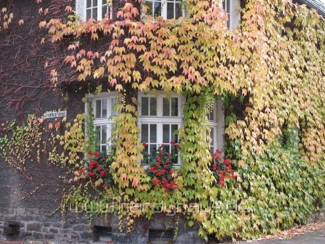 Fenster im Haus Ecke Trautes Heim - Steile Strasse